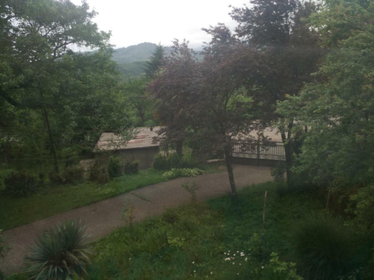 Guest House Knarik Jvari Exterior photo